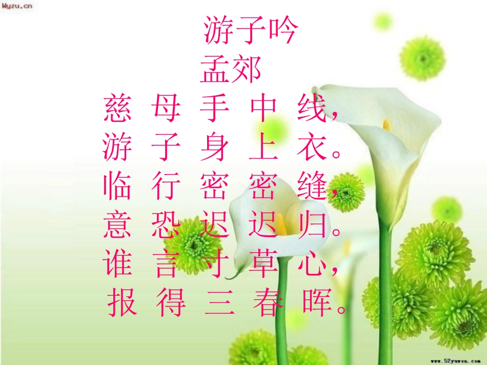 第一次抱母亲聂宗宏_第1页