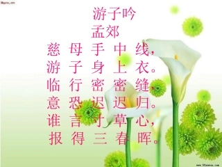 第一次抱母亲聂宗宏