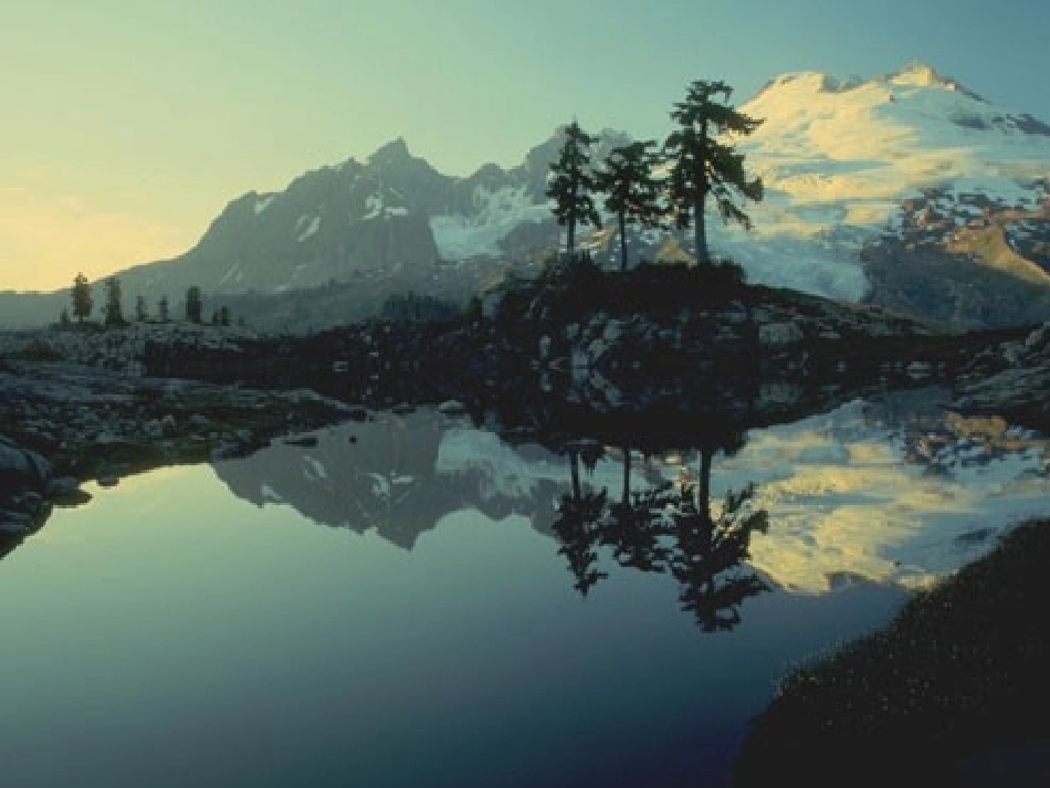 环保主题班会《保护环境-珍爱生命》PPT课件_第2页