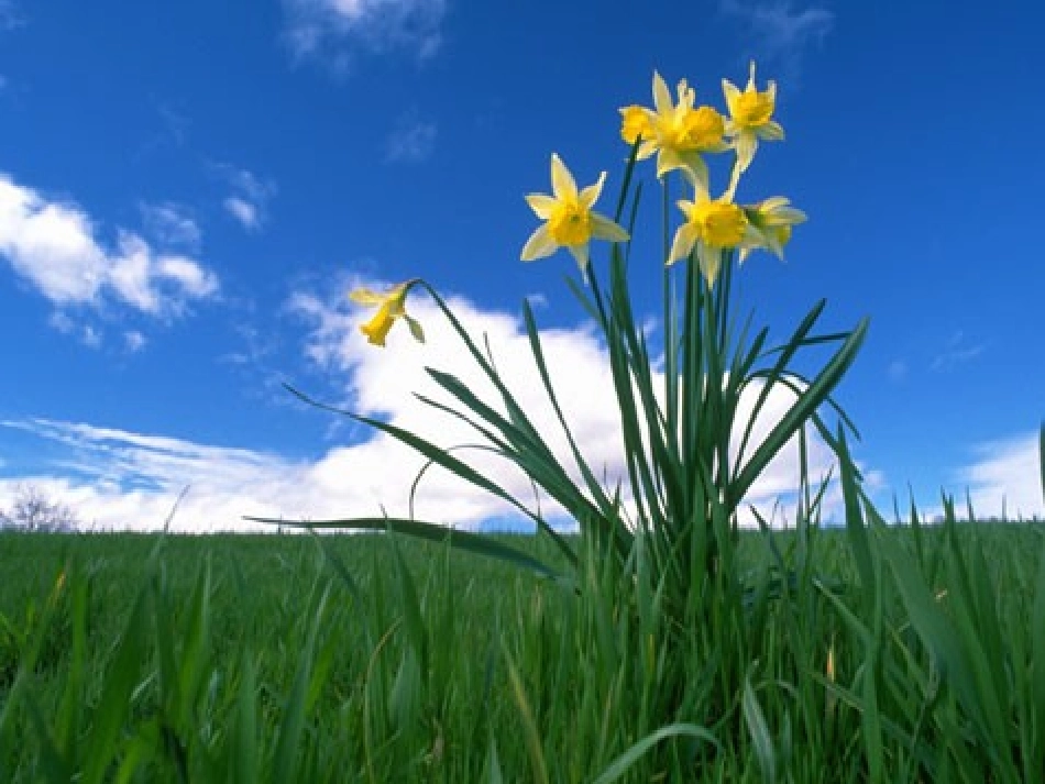 环保主题班会《保护环境-珍爱生命》PPT课件_第3页