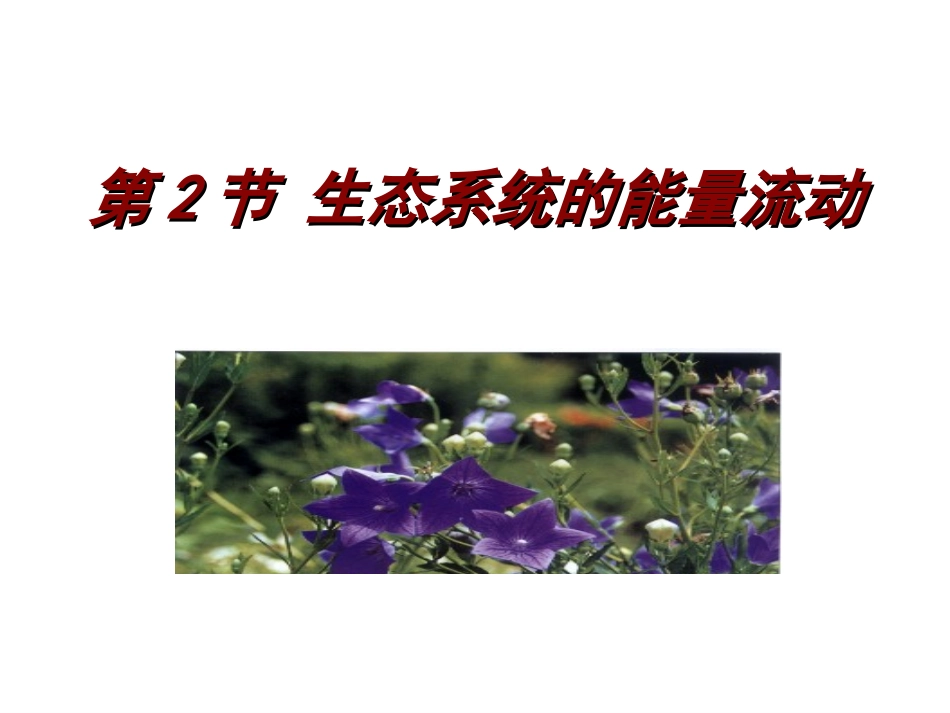 生态系统的能量流动 (完美版)_第1页