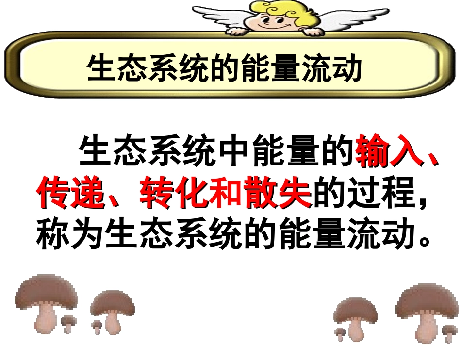 生态系统的能量流动 (完美版)_第3页