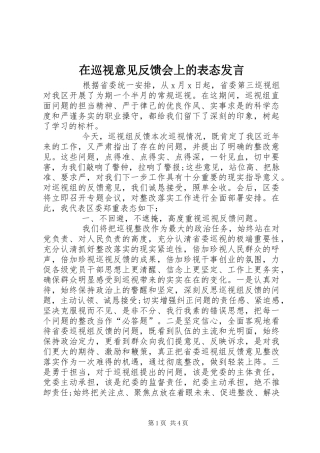 在巡视意见反馈会上的表态发言