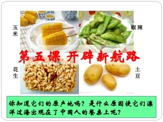 第5课开辟新航路课件