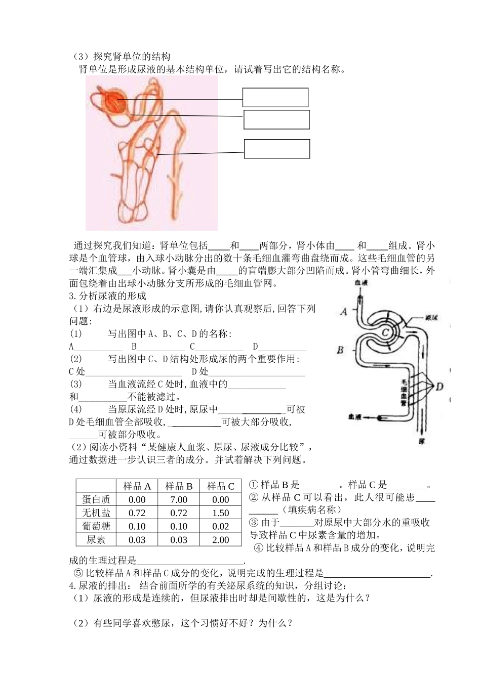 第2节人体内废物的排出尿液的形成与排出_第3页