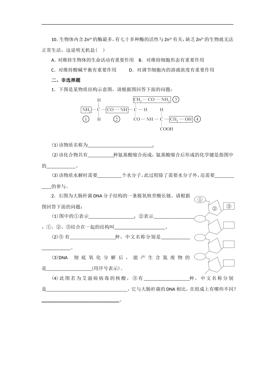 第2章组成细胞的分子单元测试（人教版必修1）_第2页