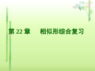 第22章《相似形》复习