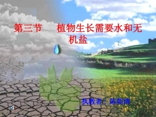 苏教版生物七年级上 第5章 第3节 植物生长需要水和无机盐
