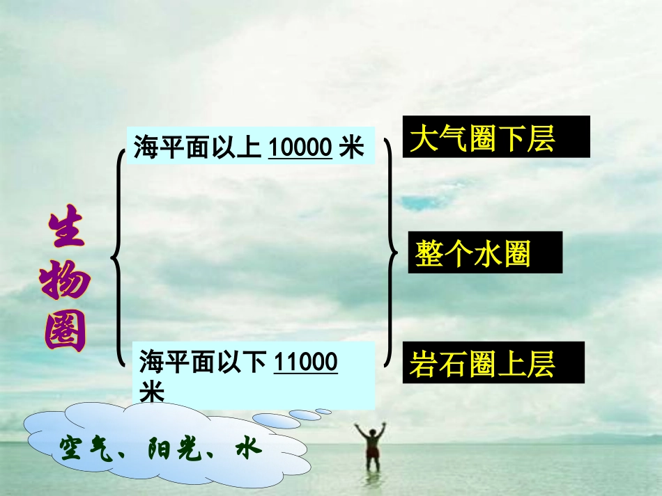 第1章第1节形形色色的生物_第3页