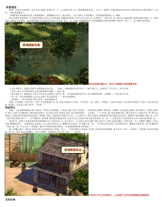 轩辕剑3外传天之痕最终完美攻略