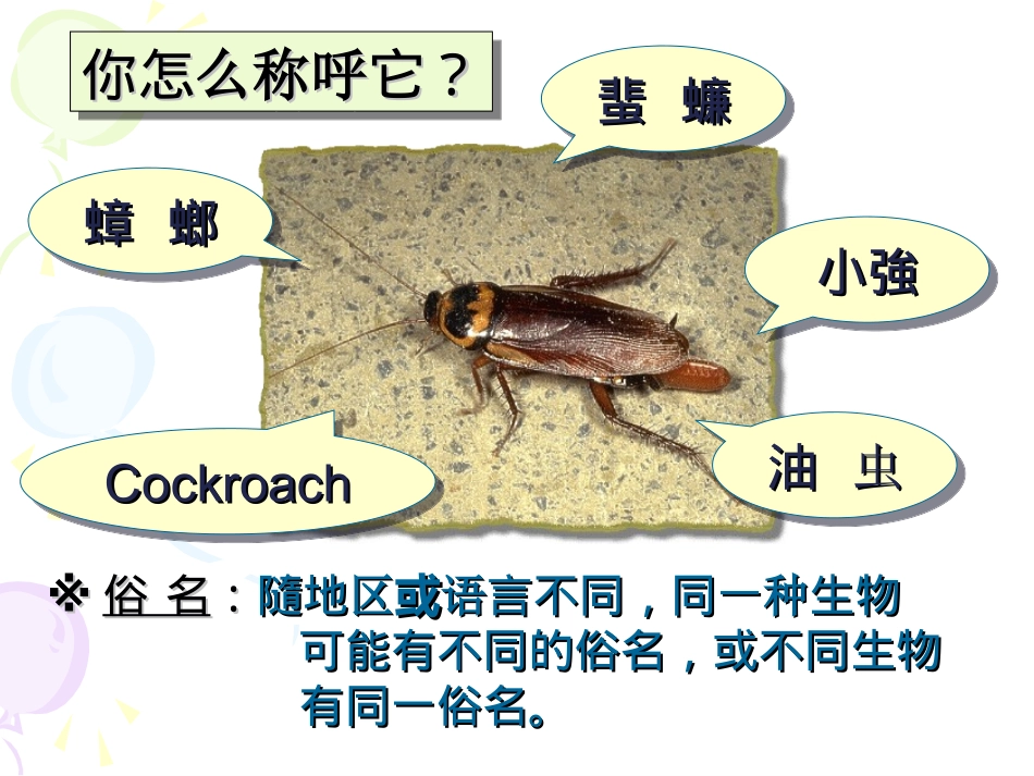 第13章第1节生物的命名_第3页