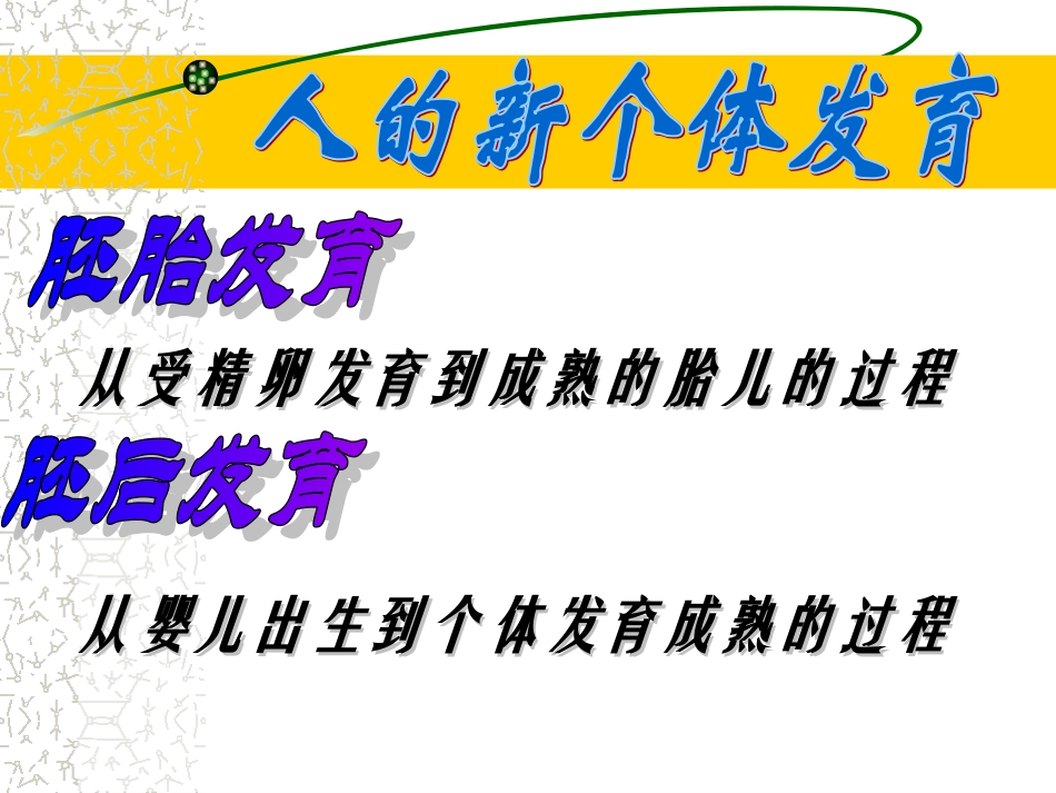 章第节人的新个体发育精品课件苏科版八年级上_第2页