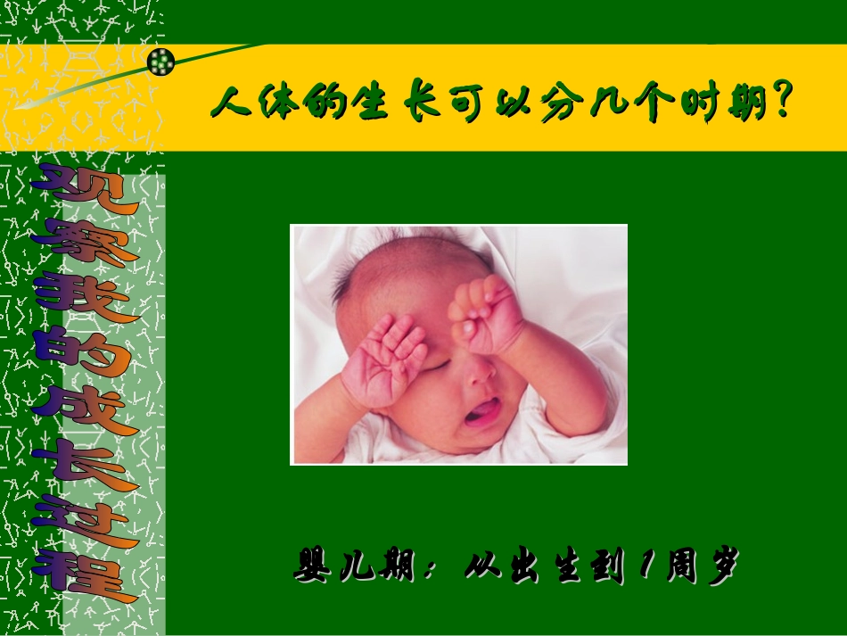 章第节人的新个体发育精品课件苏科版八年级上_第3页