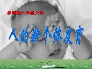 章第节人的新个体发育精品课件苏科版八年级上