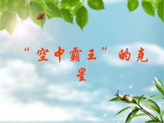 空中霸王_的克星课件[1]