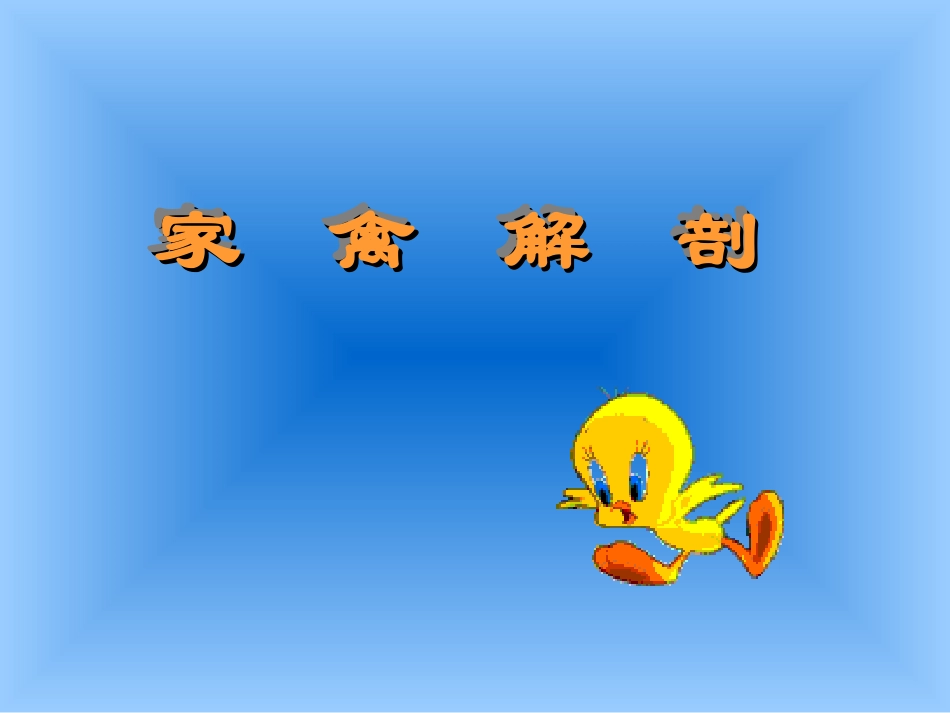 家禽解剖学---家禽解剖生理特征_第1页