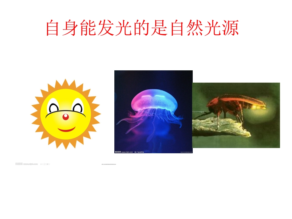科学活动《明亮的光》_第3页