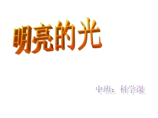 科学活动《明亮的光》