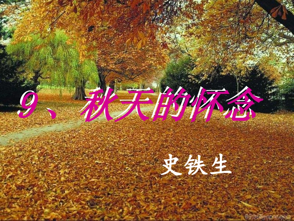 秋天的怀念 (5)_第1页