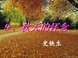秋天的怀念 (5)