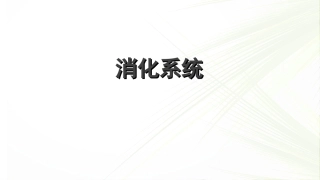 系统解剖学之消化系统