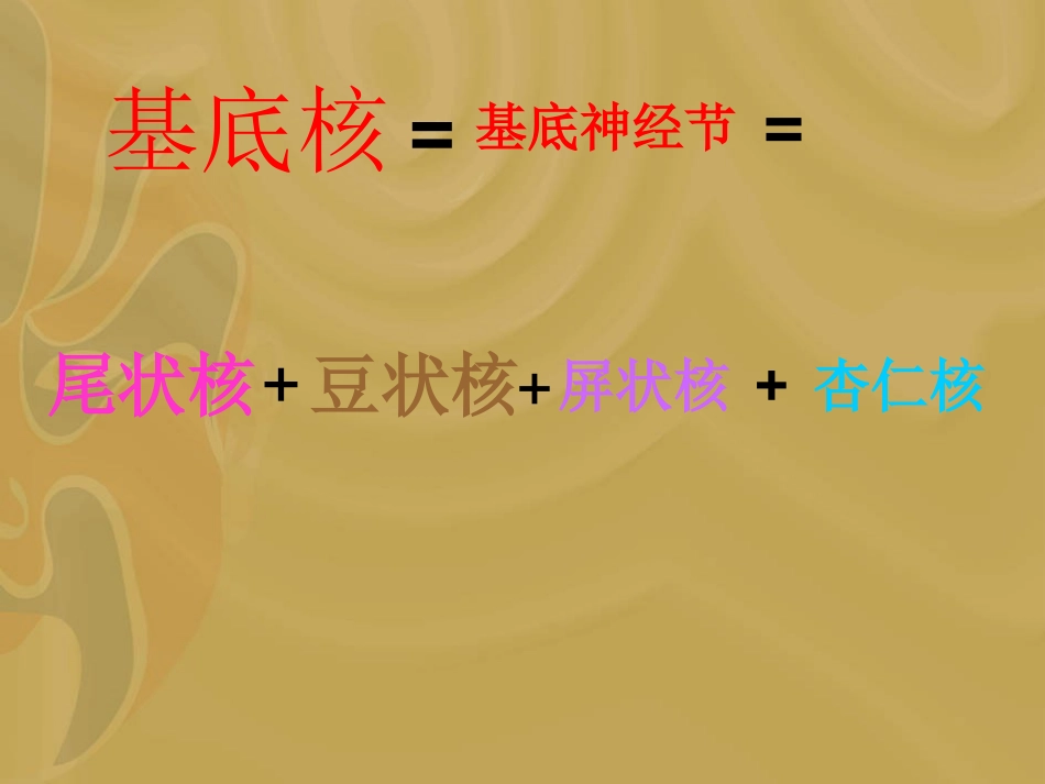 基底节区解剖位置关系图_第2页
