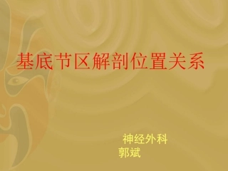 基底节区解剖位置关系图