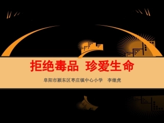 禁毒课件李继虎