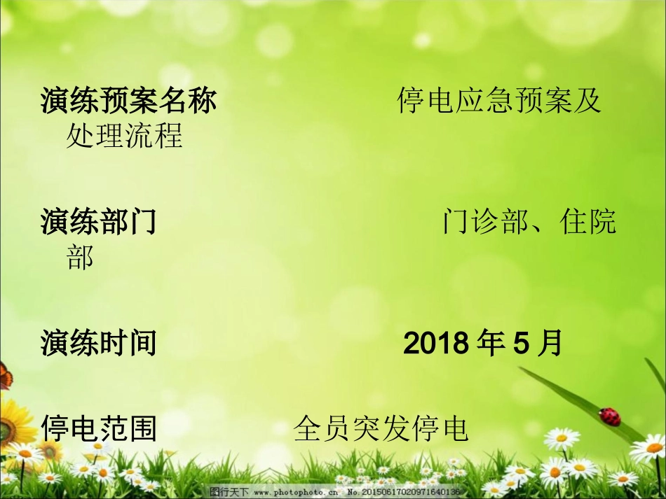 停电应急预案及处理流程_第2页