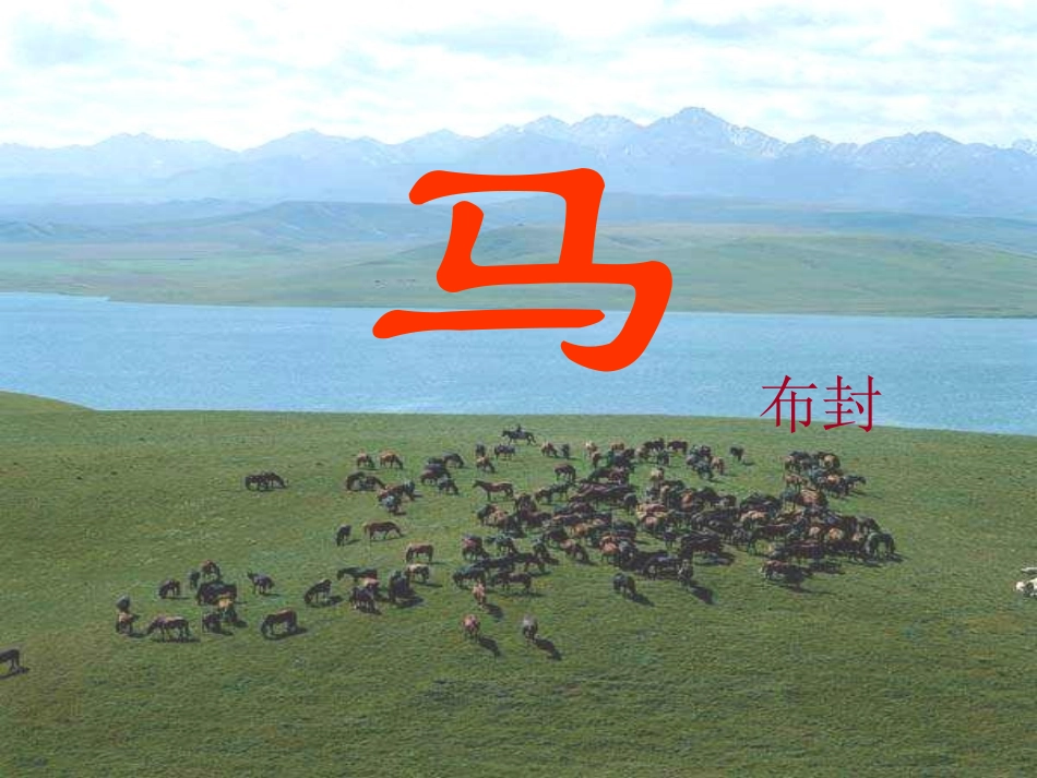 研讨课《马》_第3页