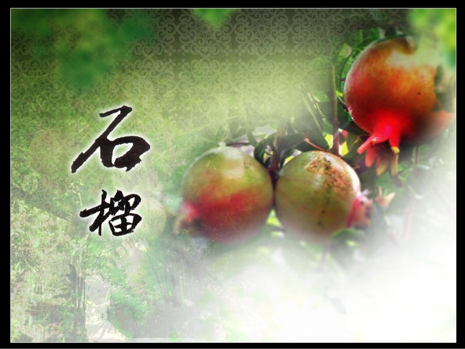 石榴倪鸣课件_第1页