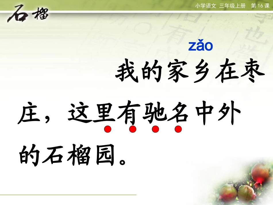 石榴倪鸣课件_第3页