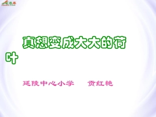 真想变成大大的荷叶 (2)