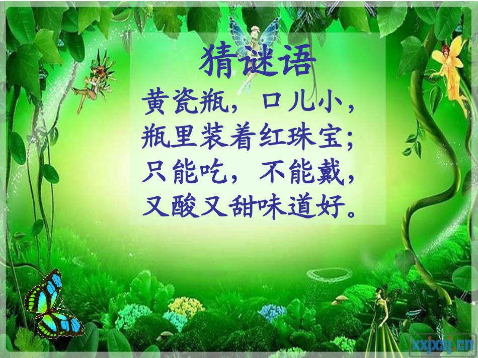 石榴公开课课件_第1页