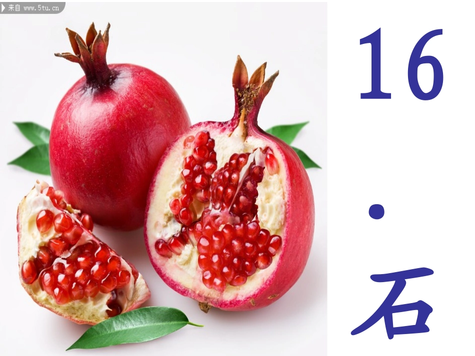 石榴公开课课件_第2页