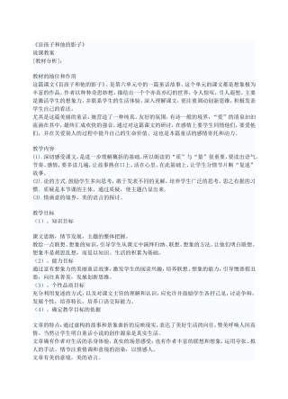 盲孩子和他的影子说课稿