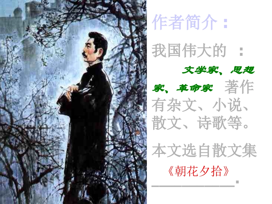 百草园 (2)_第1页