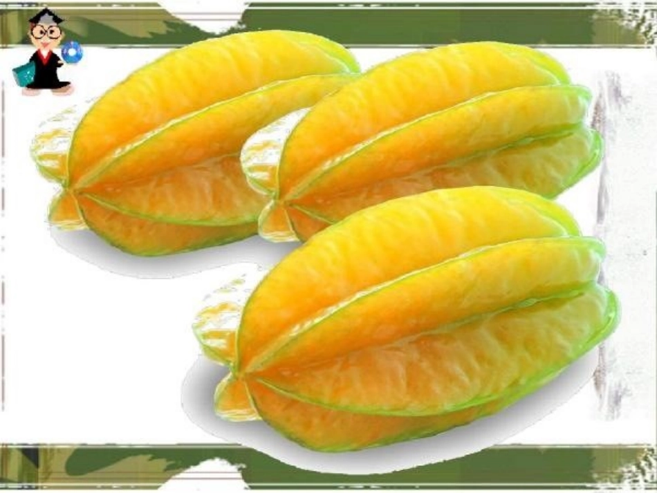 画杨桃演示文稿1_第3页