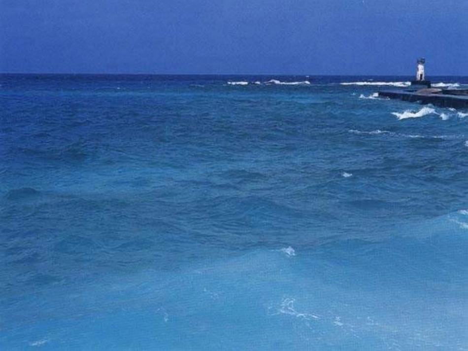 画家乡课件1_第2页