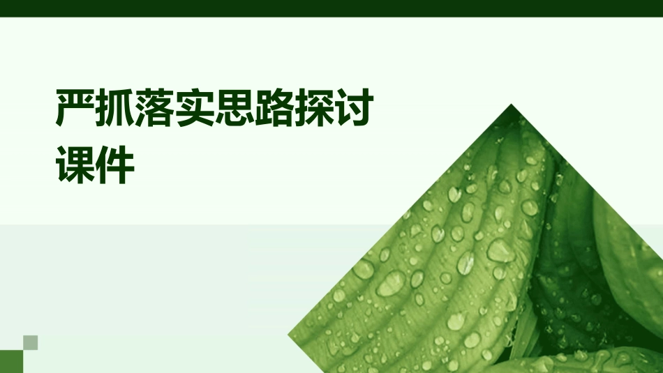 严抓落实思路探讨课件_第1页