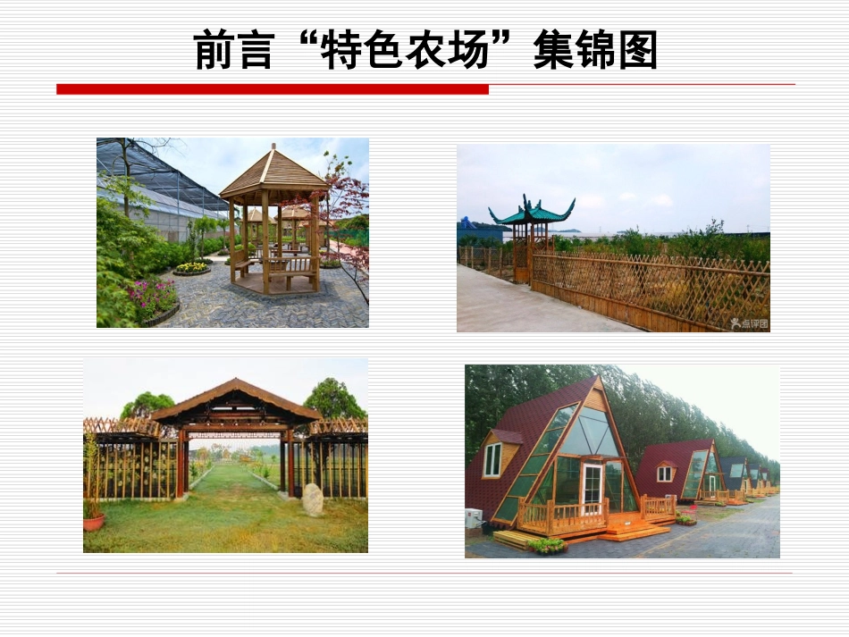 特色休闲农场设计规划方案_第1页