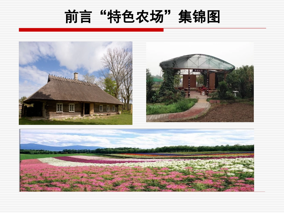 特色休闲农场设计规划方案_第2页