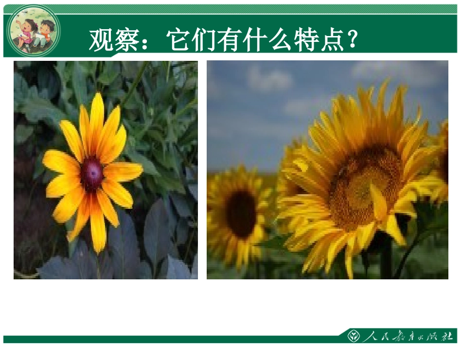 对折剪纸ppt_第3页