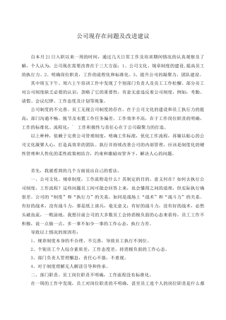 公司现存在问题及改进意见