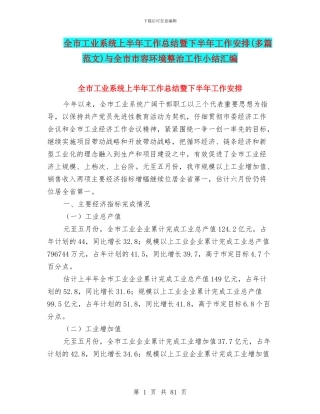 全市工业系统上半年工作总结暨下半年工作安排与全市市容环境整治工作小结汇编