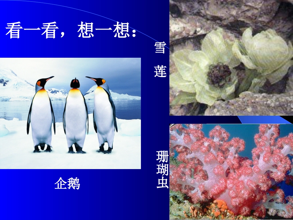 生物生存的环境_第2页