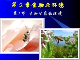 生物生存的环境