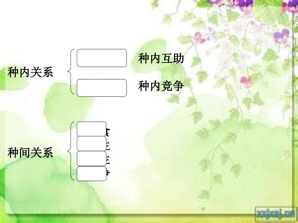生物对环境的适应和影响_第2页