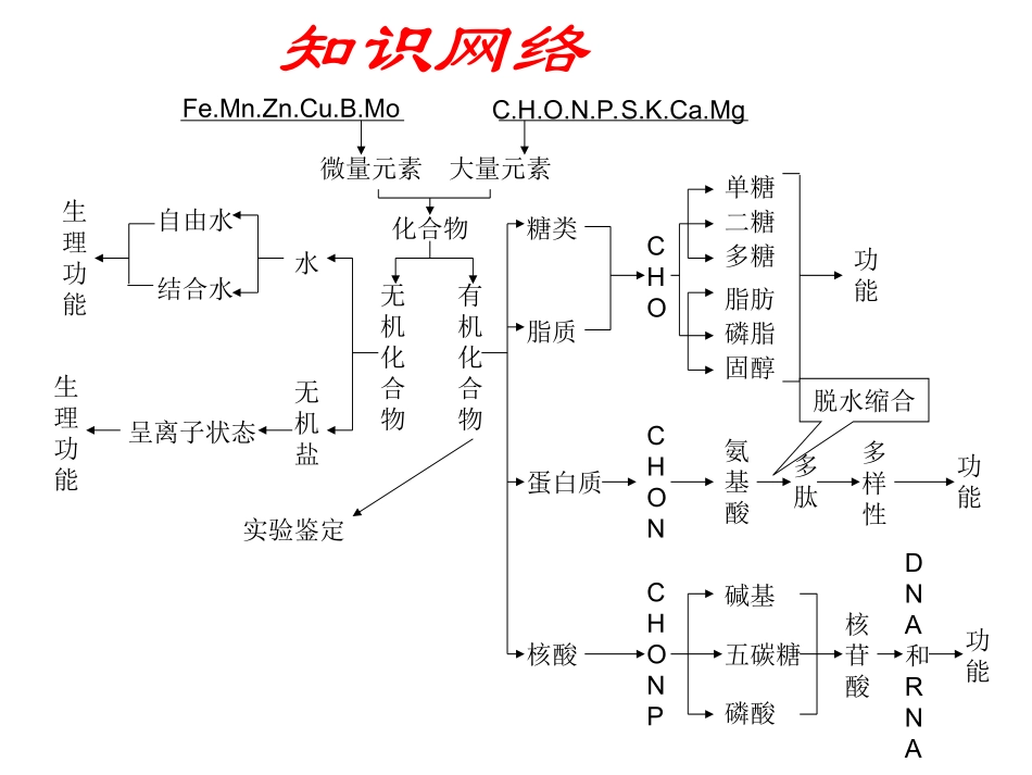 生物：高三一轮复习全套课件（必修1、2、3）（原创）人教版_第2页