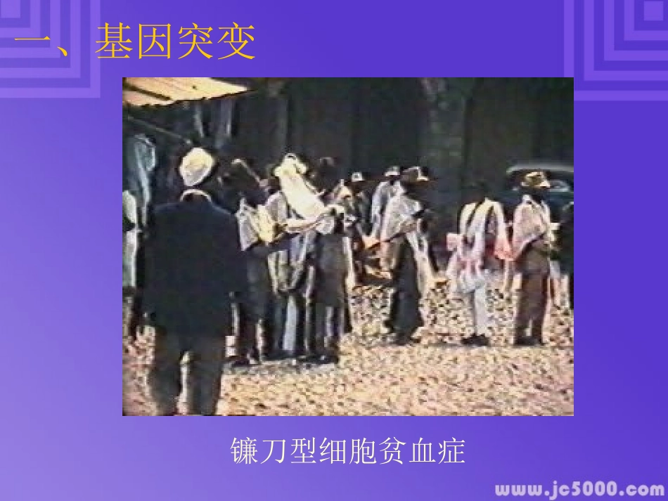生物的变异--基因突变_第3页